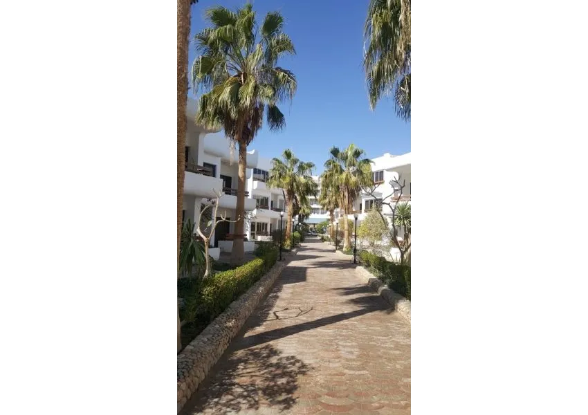 Marlin Inn Azur Resort 3*-9