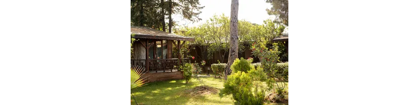 Flora Garden Beach (Adults Only 16+) 5*-3