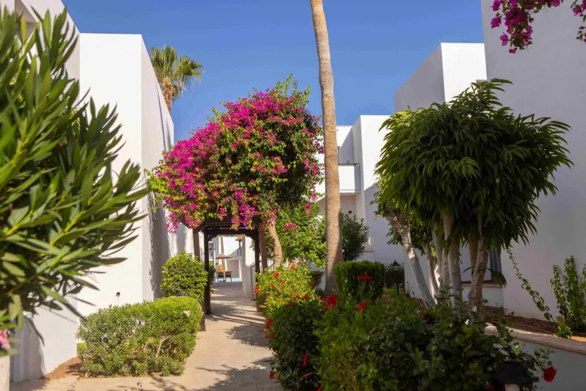 Kapetanios Aqua Resort 4*-21