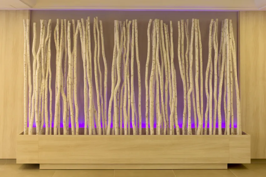 Tangerine by Honne Hotels (ex HSM Don Juan Hotel) 3*-8