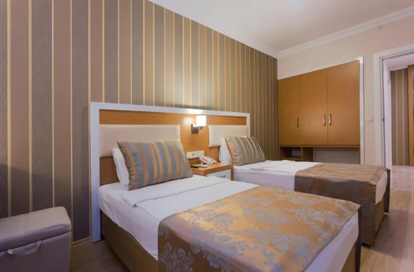 LONICERA CITY KLEOPATRA  3*-29