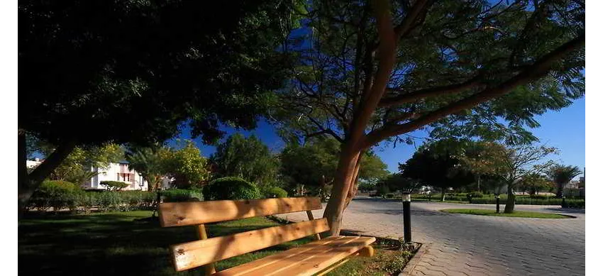 Pharaoh Azur Resort 5*-9