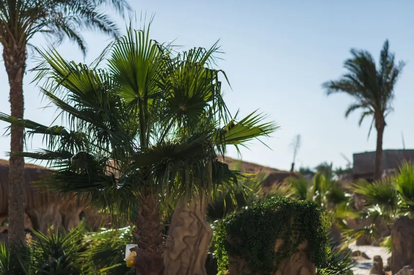 Caves Beach Resort (Adults Only 16+) 5*-102