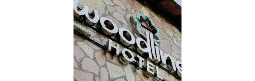 Woodline Hotel 3*-22