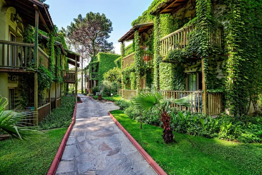 Gypsophila Club Marine 5*-17