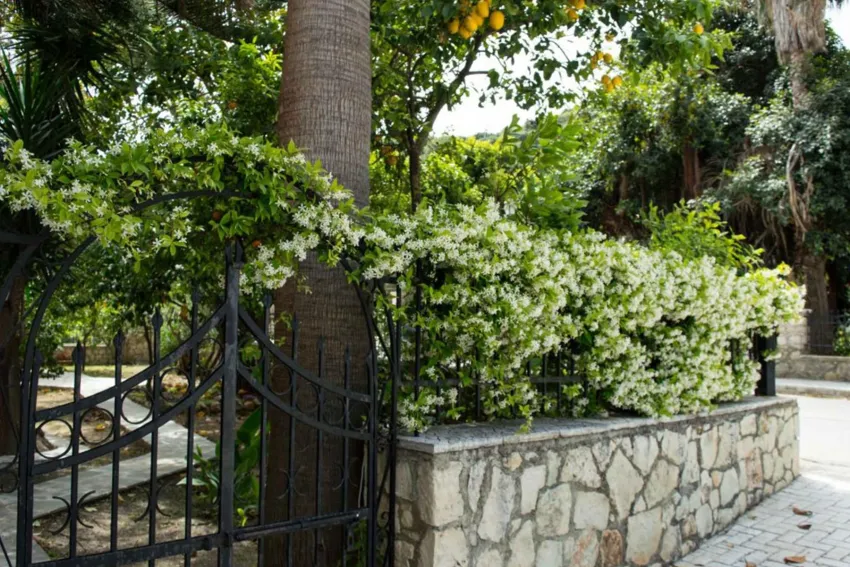 Paradise Beach Hotel 3*-26