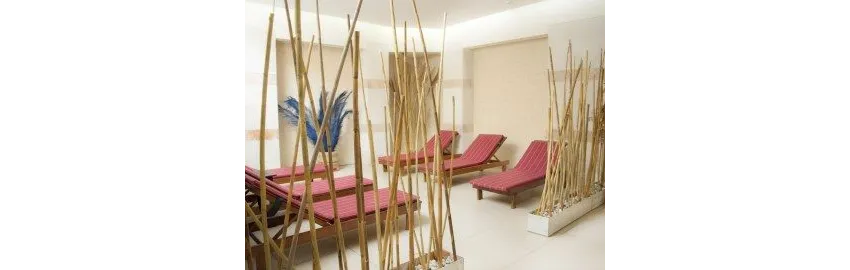 Golden Lotus Hotel 4*-23