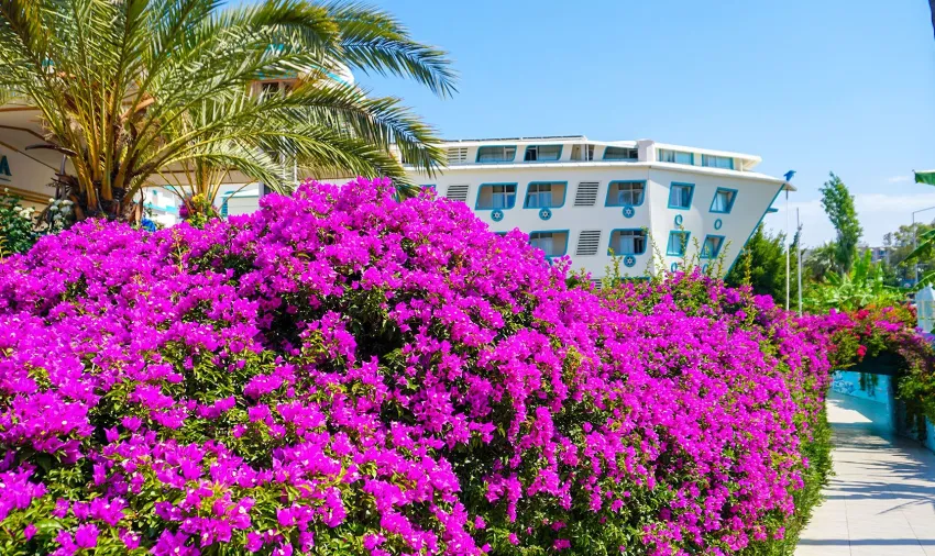 Daima Biz Resort Hotel 5*-7