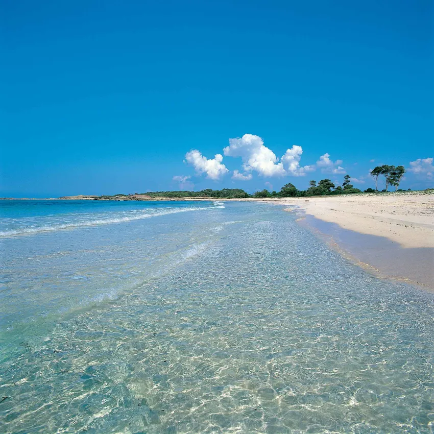 Isla de Cabrera Aparthotel 4*-77