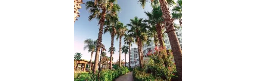 Royal Atlantis Beach Hotel 4*-29