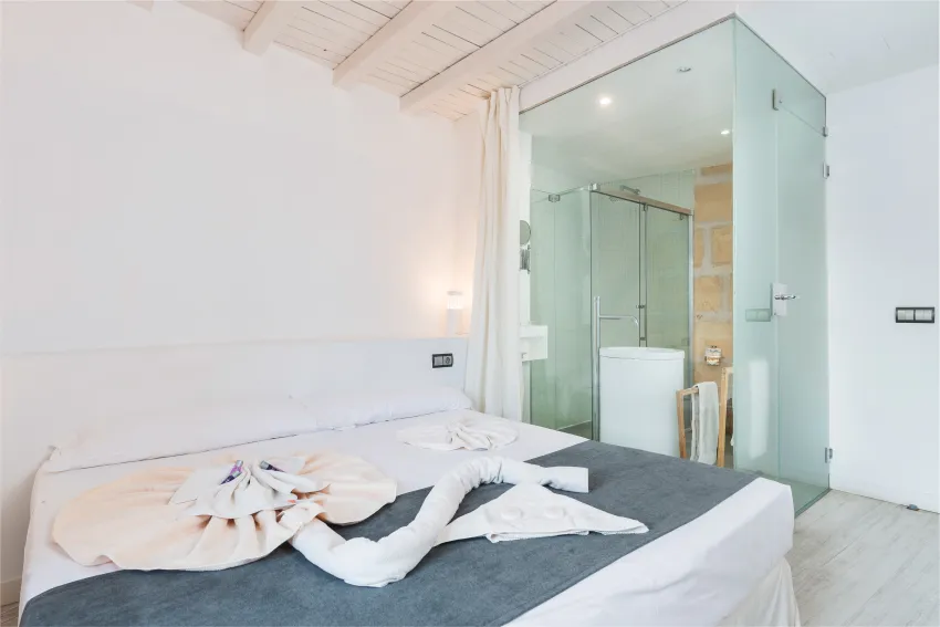 Alcudia Petit Hotels 3*-60