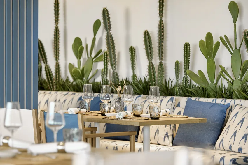 Iberostar Selection Es Trenc (ex Sur Mallorca) 5*-95