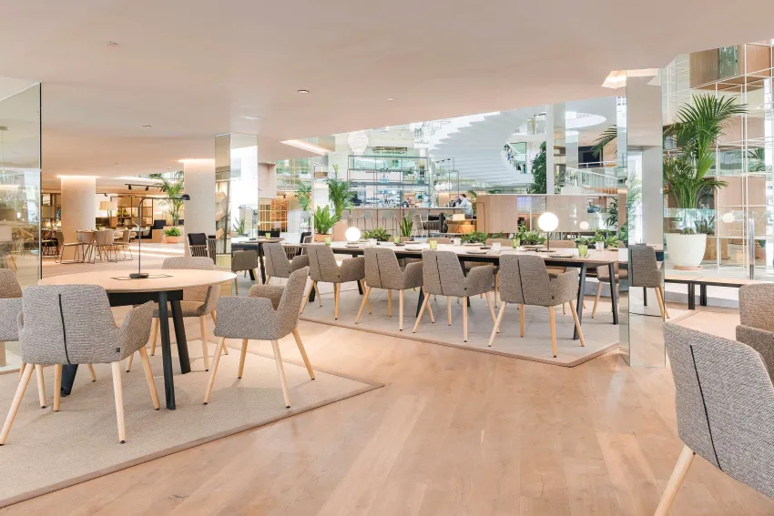 Melia Palma Marina 4*-424