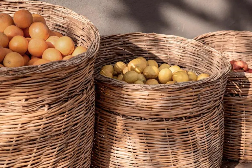 COOKS CLUB ALANYA (ADULT ONLY 12+)  4*-69