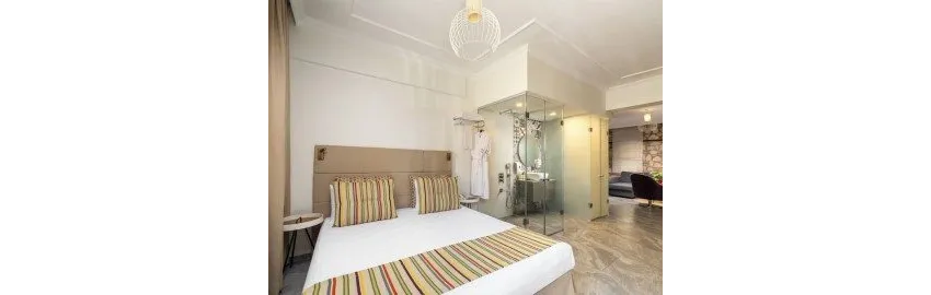 Alp Pasa Hotel 4*-8