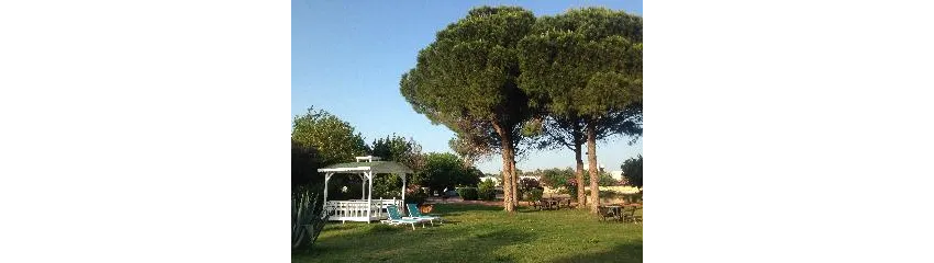 HOLIDAY INN ANTALYA LARA 5*-39