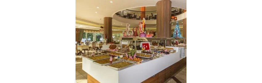 Club Dizalya 4*-25
