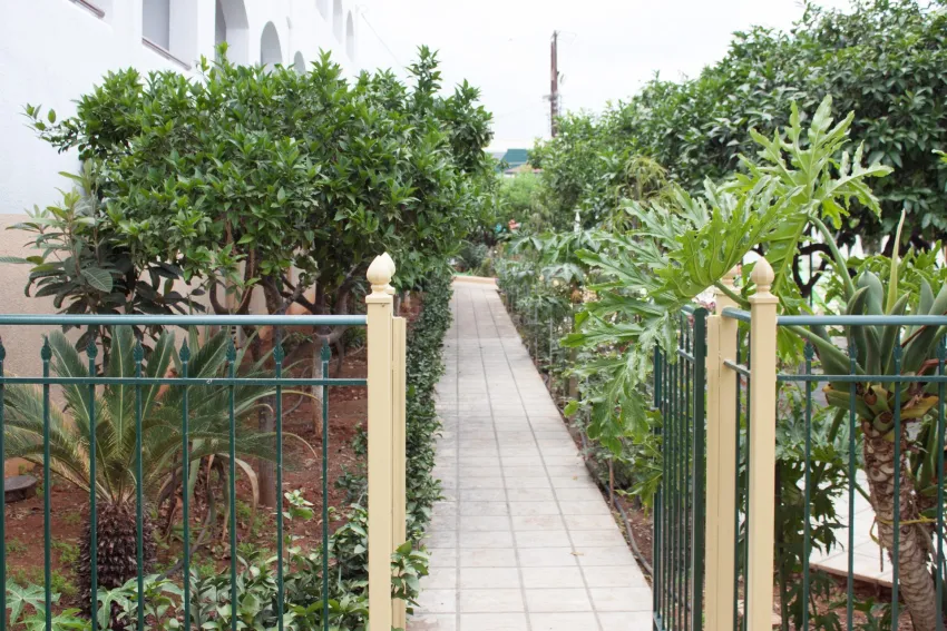 Malia Holidays by CHC Group 3*-5