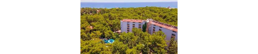 Armas Kaplan Paradise 4*-4