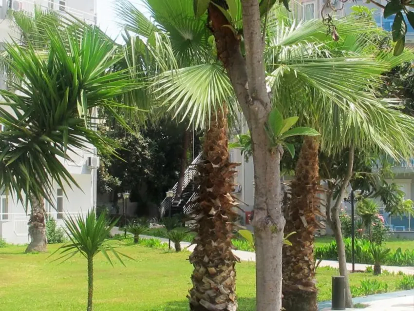 Rios Latte Beach Hotel  4*-18
