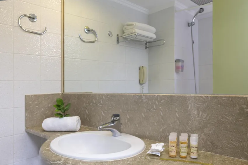 Best Western Plus Plaza 4*-14
