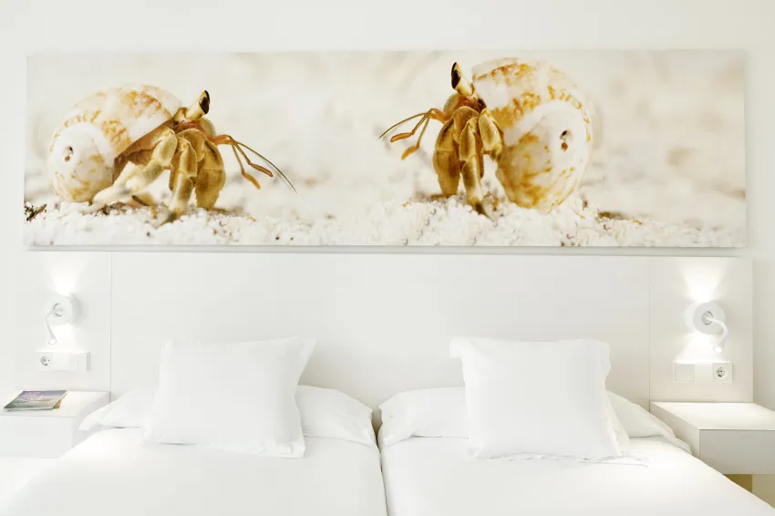 Iberostar Waves Cristina 4*-35