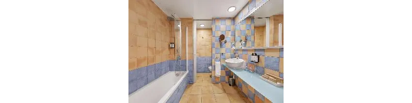 Occidental Playa de Palma 4*-32