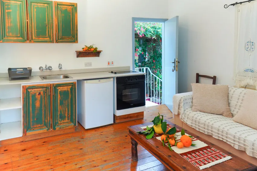Cyprus Villages Traditional Houses Tochni 3*-15