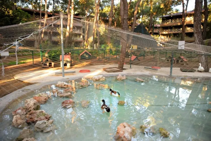 MARTI MYRA HOTEL  5*-23