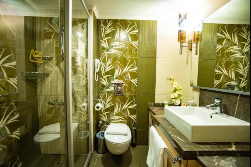 AMBASSADOR HOTEL  4*-6