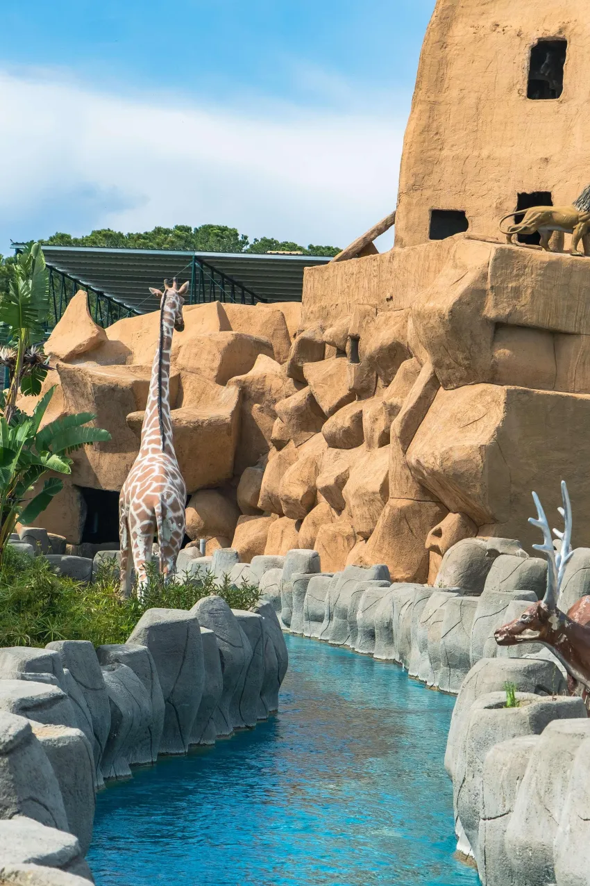 Granada Luxury Belek 5*-484