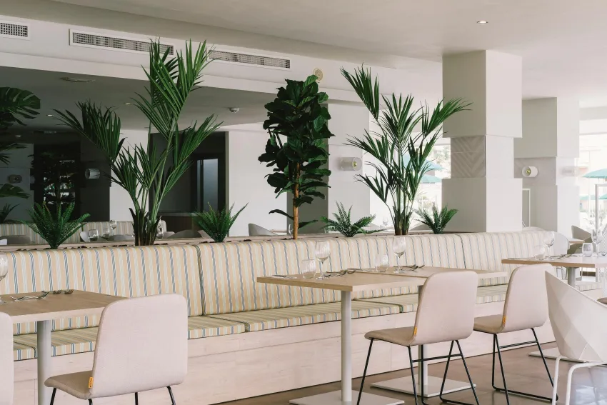 Aluasoul Palma 4*-101