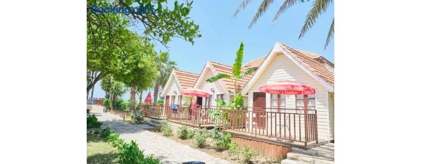 Clover Magic Nova Beach ( Ex.Nova Beach Hotel) 3*-14