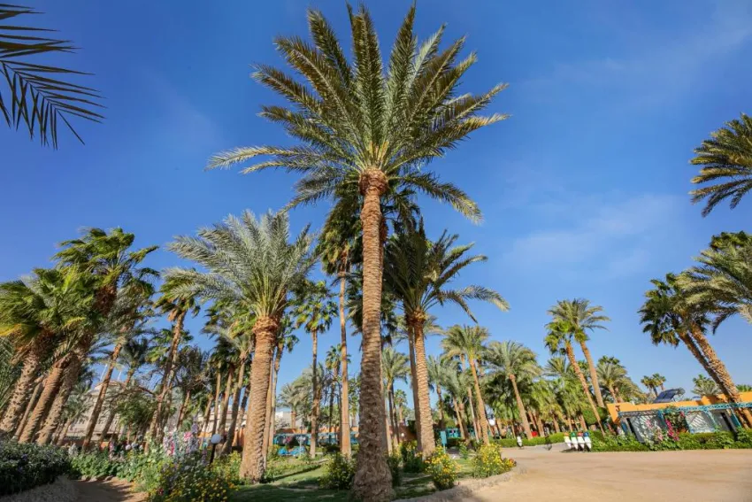 GIFTUN AZUR RESORT  3*-32