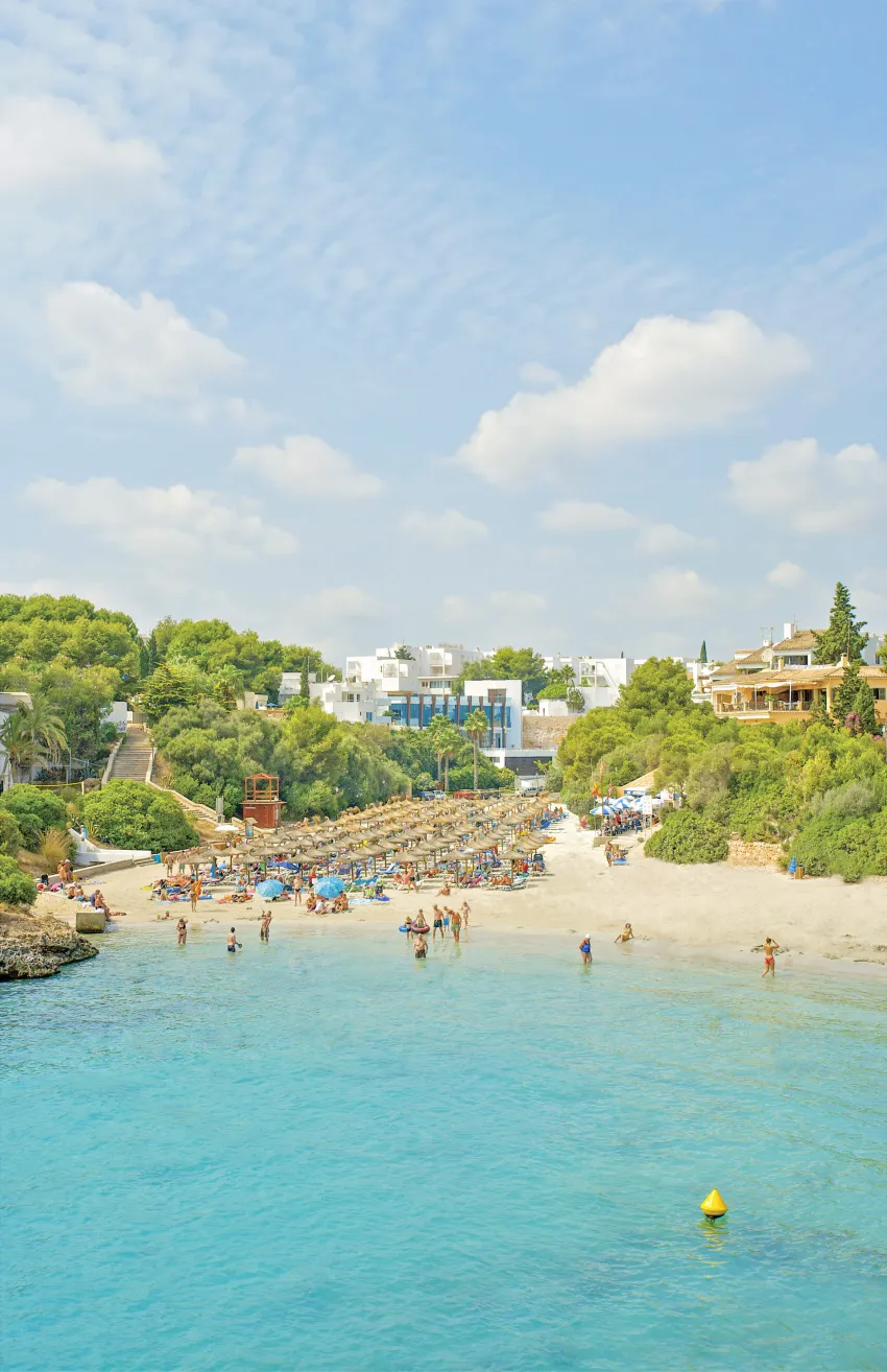 Marsenses Ferrera Blanca Adults Only 4*-15