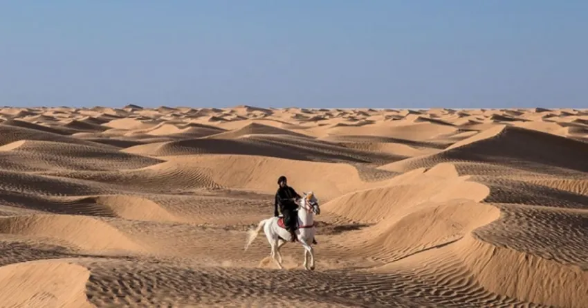 CIRCUIT DISCOVER TUNISIA (1N MARHABA CLUB+2N SAHARA+4N SENTIDO BELLVUE PARK)  4*-5* CIRCUIT-13