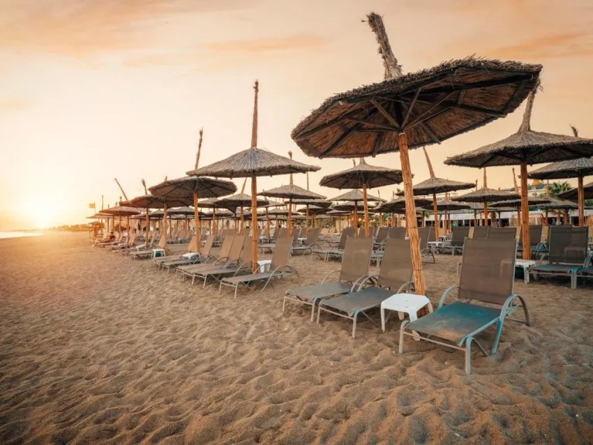 Asteria Bloom Side (Ex: Selectum For Two Side) 5*-38