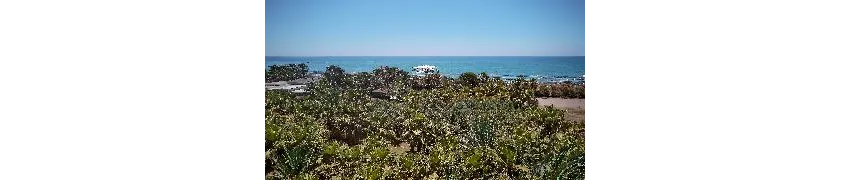 Seaden Sea World Resort & Spa 5*-46