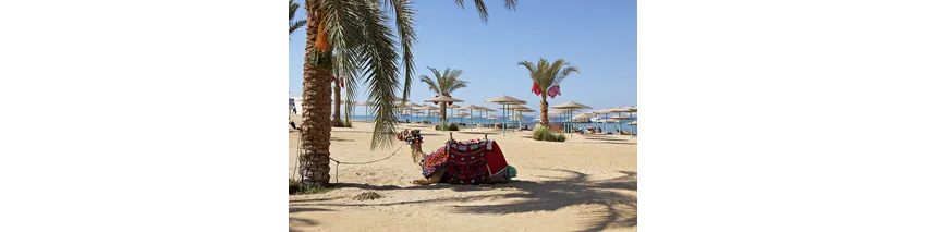 Sunny Beach Resort The Three Corners 4*-70