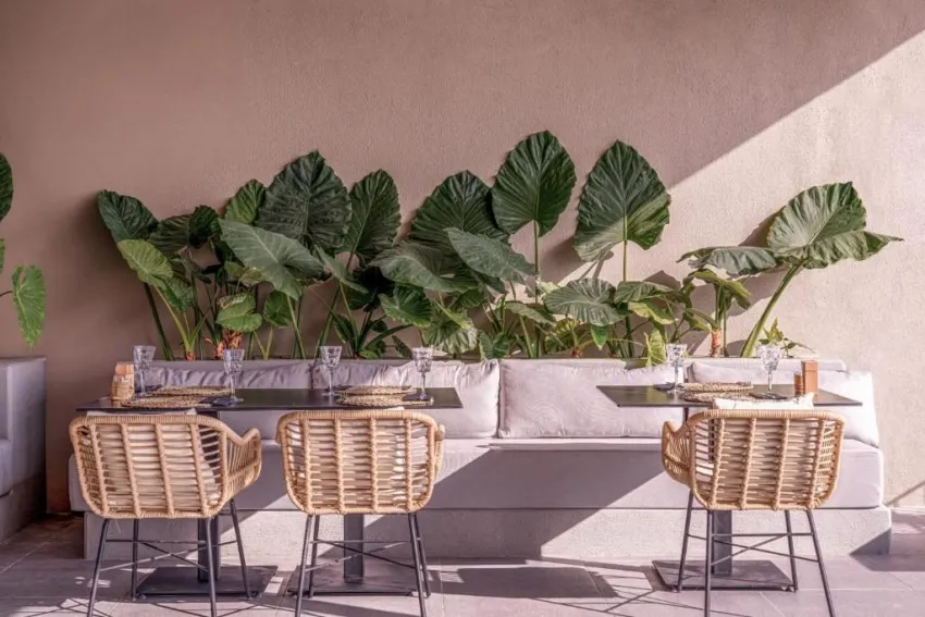 BALMY FORESTA  5*-23