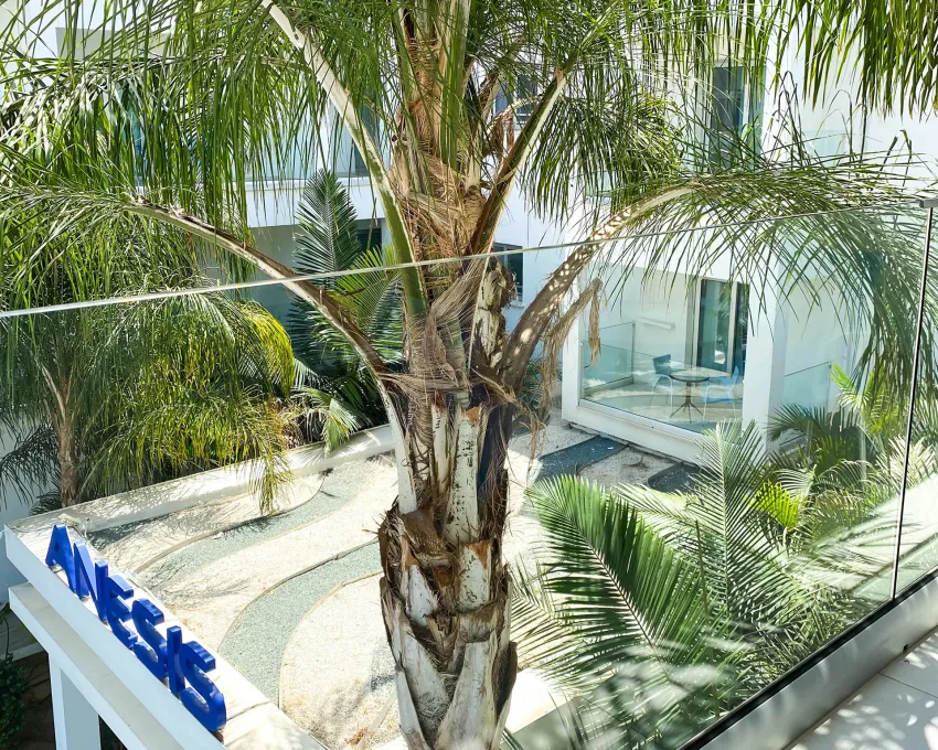 Anesis Hotel 3*-32