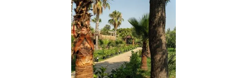 Astoria Hotel Kemer 3*-26
