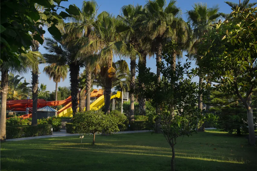 Miramare Beach Hotel 5*-8