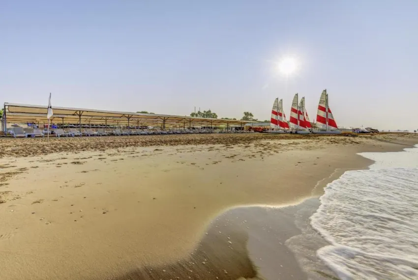 MAGIC LIFE JACARANDA  5*-14