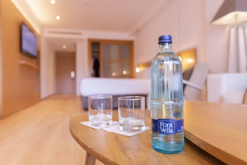 Saratoga Hotel 4*-50