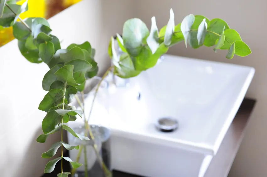 Steris Elegant Beach Hotel 4*-14