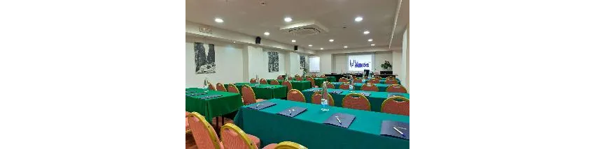 Minos Ambassador All Suites and Spa 5*-89