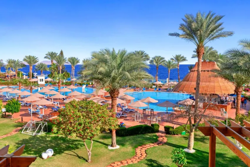ALBATROS ROYAL GRAND SHARM EL SHEIKH (ADULT ONLY16+)  5*-95