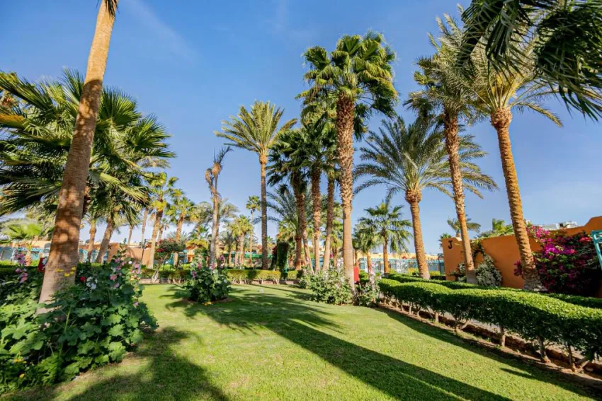 GIFTUN AZUR RESORT  3*-40