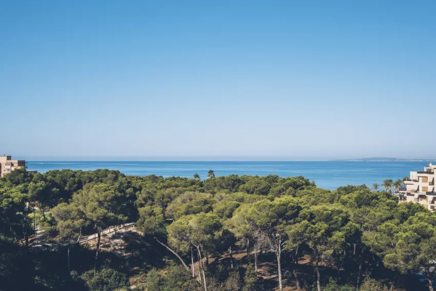 Iberostar Selection Llaut Palma 5*-20